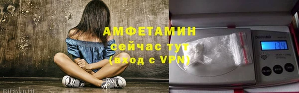дмт Богородск