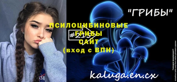 дмт Богородск